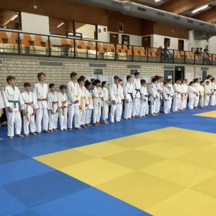 Judo Meisterschaft 17.jpg