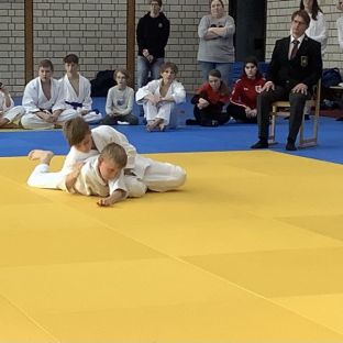 Judo Meisterschaft 7.jpg