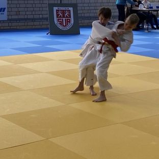 Judo Meisterschaft 9.jpg