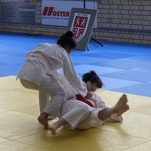 Judo Meisterschaft 15.jpg