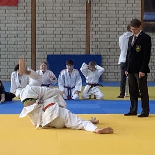 Judo Meisterschaft 8.jpg